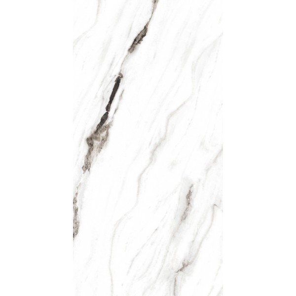 Zenet White Polished 60x120cm...