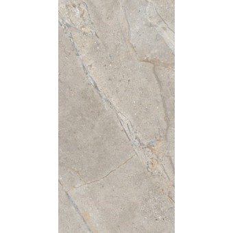Crust Taupe 60x120x2cmR11 2