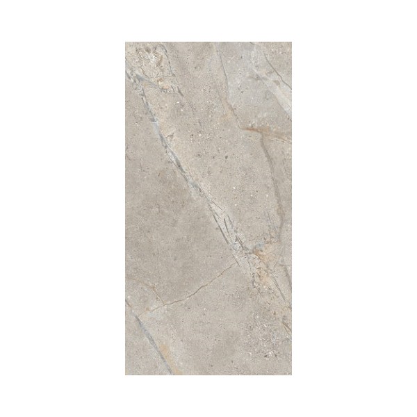 Crust Taupe 60x120x2cmR11