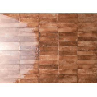 Mojave Cotto 6x25x0.95cm 2