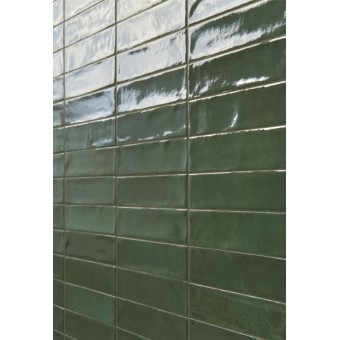 Marrakech Green Gloss 4.8x20cm 2