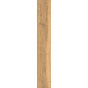 Timeless Honey XXL...